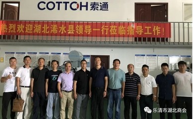 浠水散花區領導來訪 深化交流合作，共促電氣自動化發展